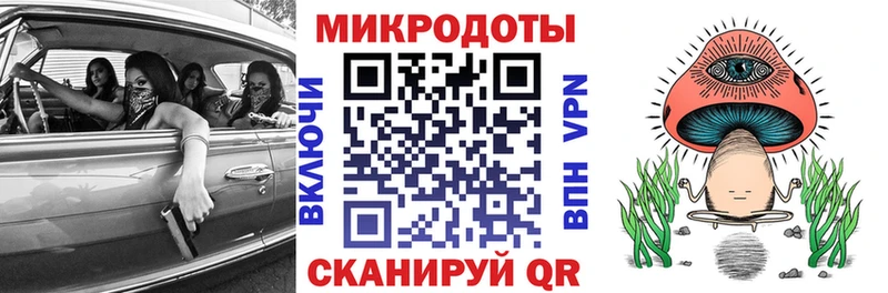 закладка  Мариинский Посад  Псилоцибиновые грибы Psilocybine cubensis 
